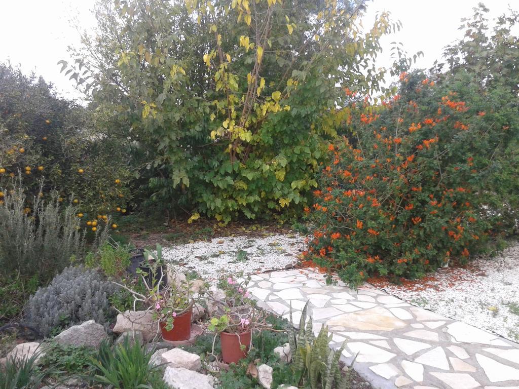 Apartment Arilena
