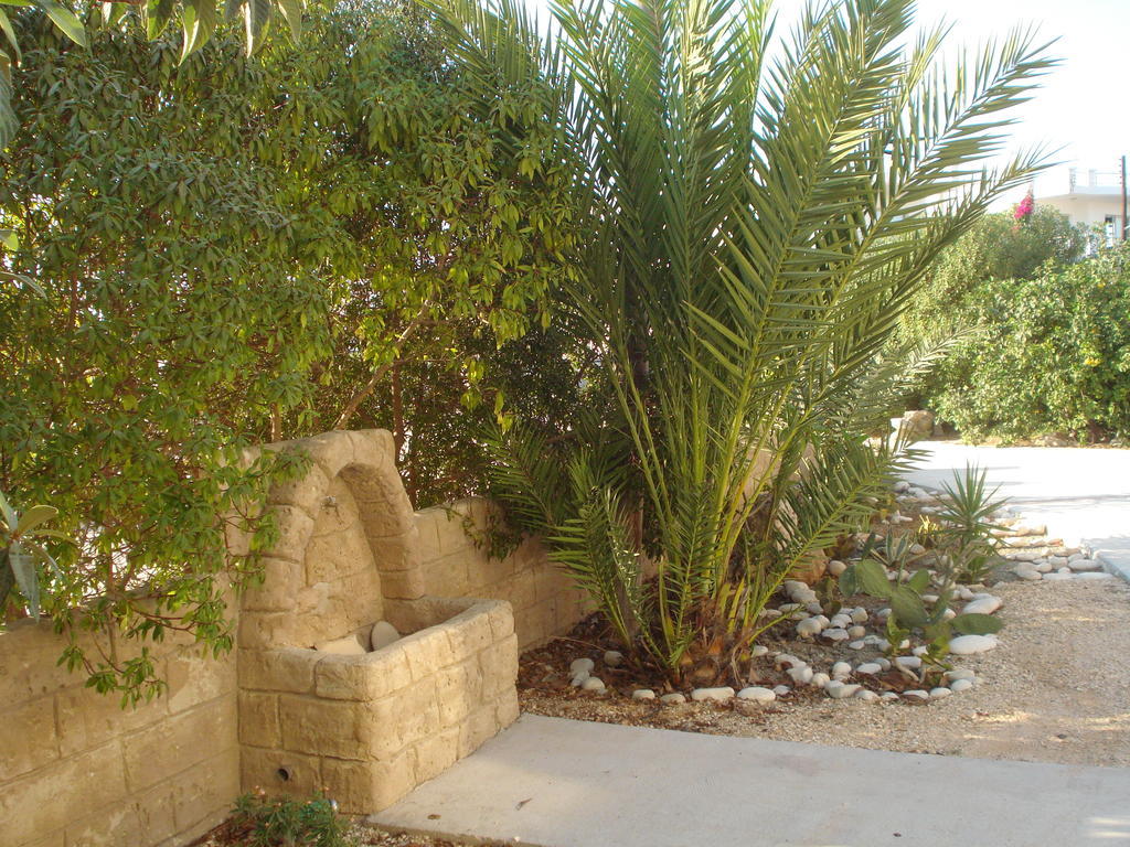 Appartement Arilena Paphos