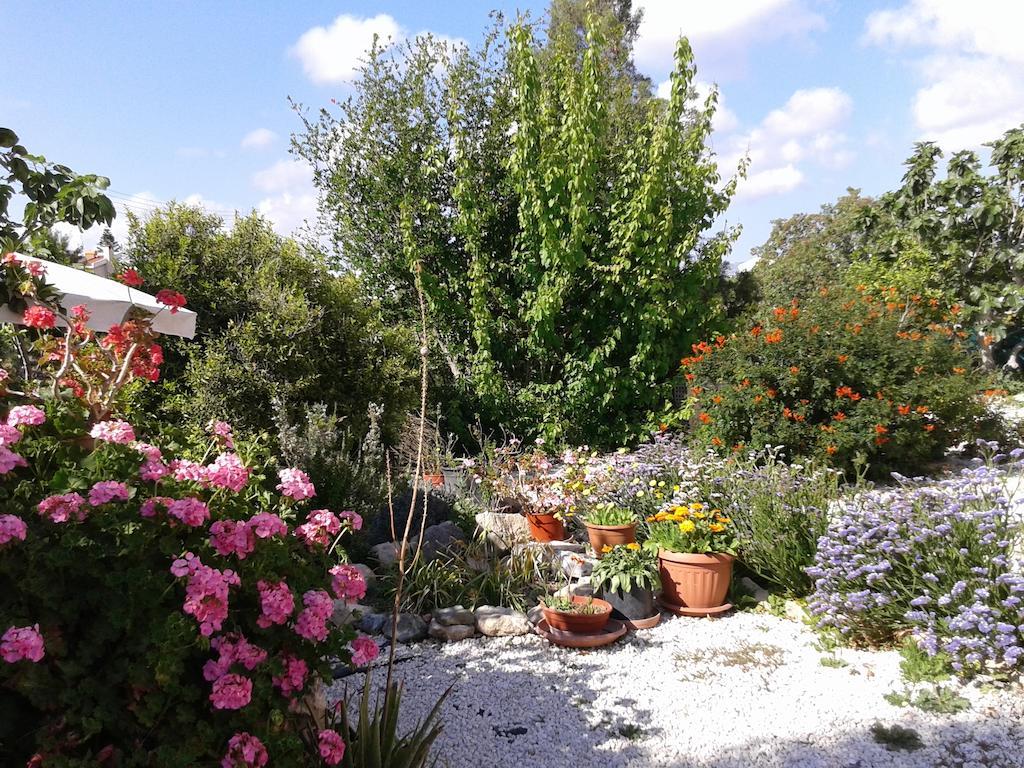 Apartament Arilena Pafos