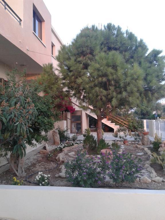 Arilena Pafos